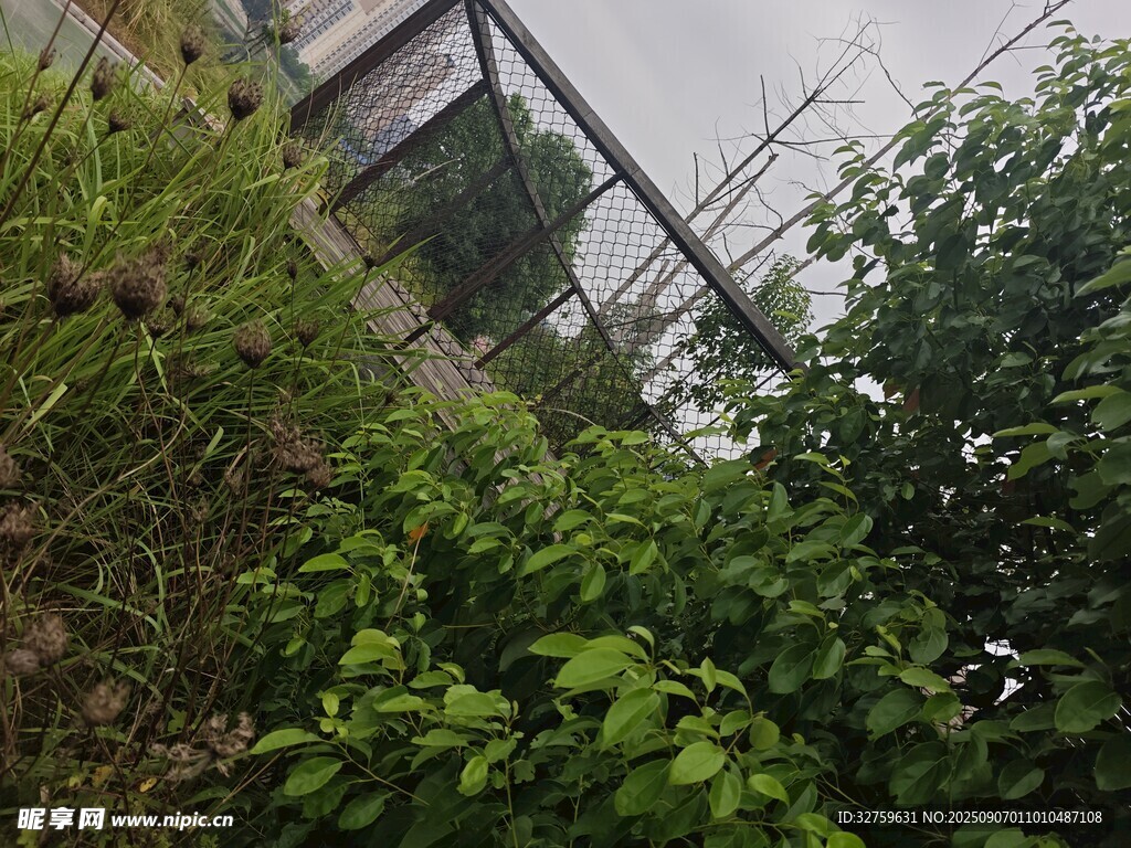 戶外綠植與建筑一角