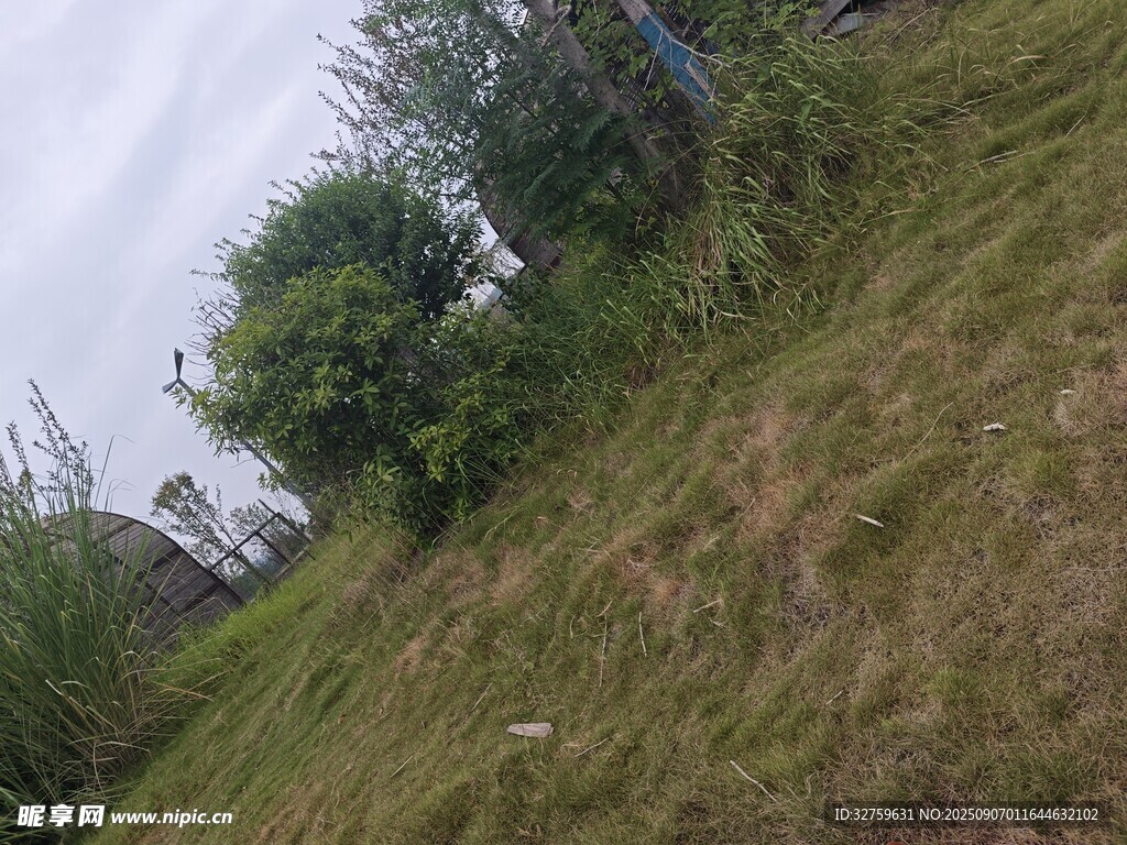 戶外草地與綠植風(fēng)景