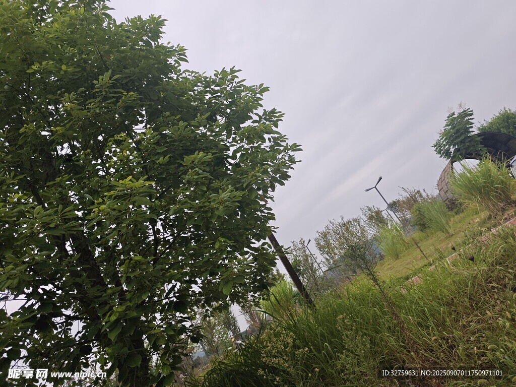 戶外綠意盎然的自然景致
