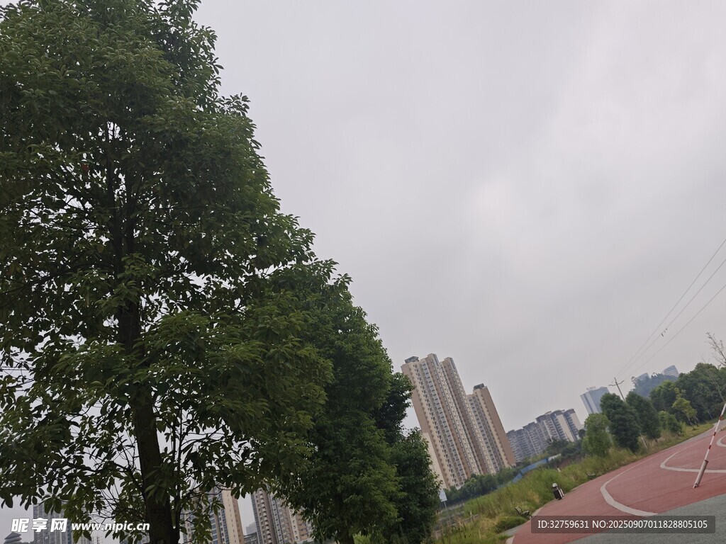 校園跑道旁的綠樹與建筑