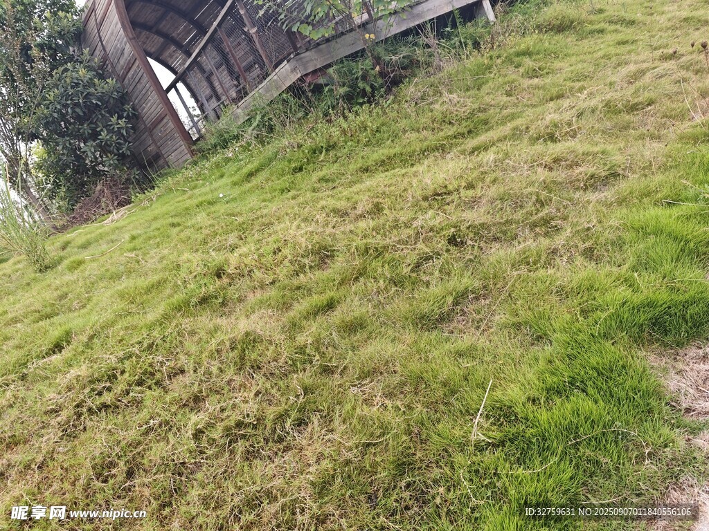 戶外草地