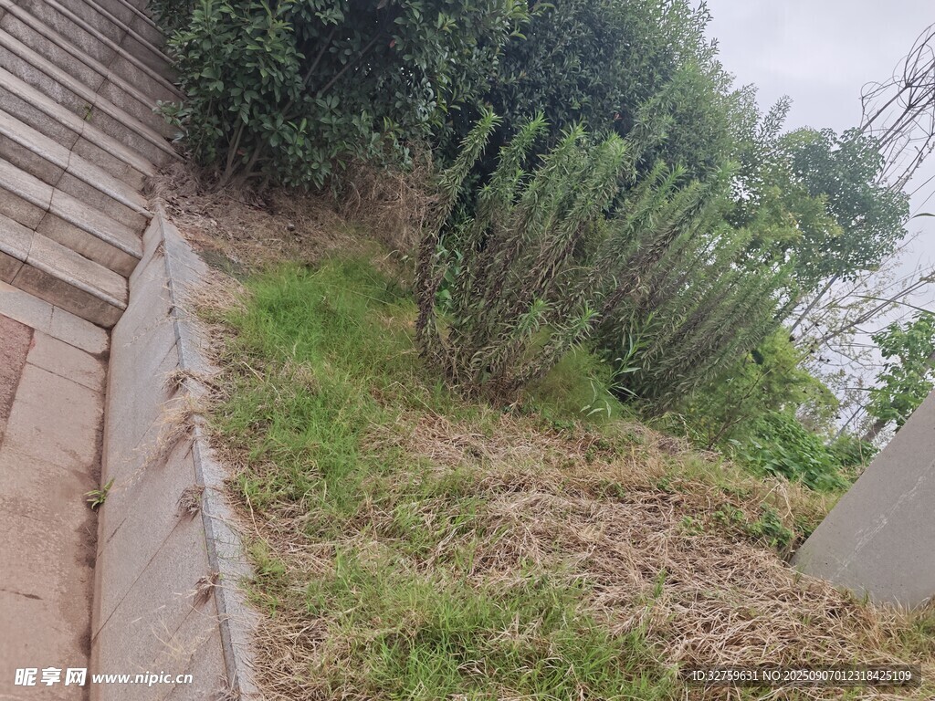 路邊綠植與臺階景觀