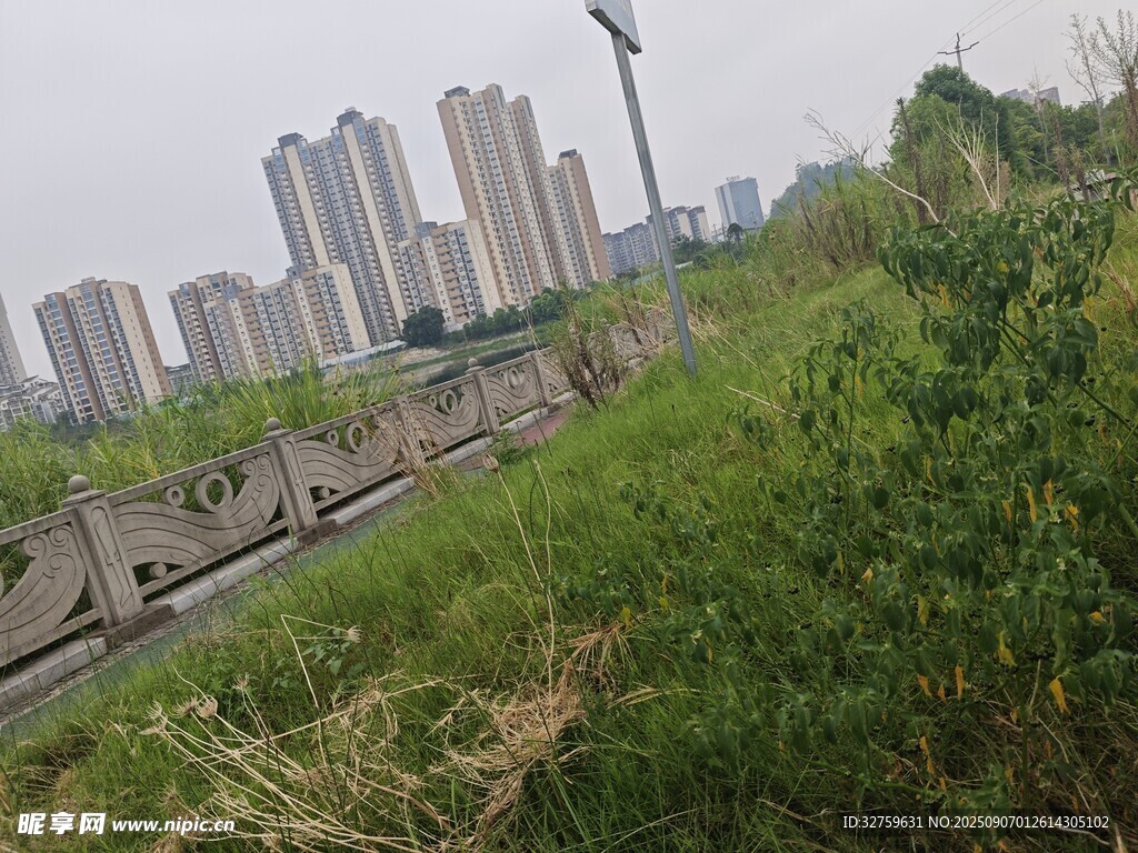 城市邊緣的繁茂綠植景觀