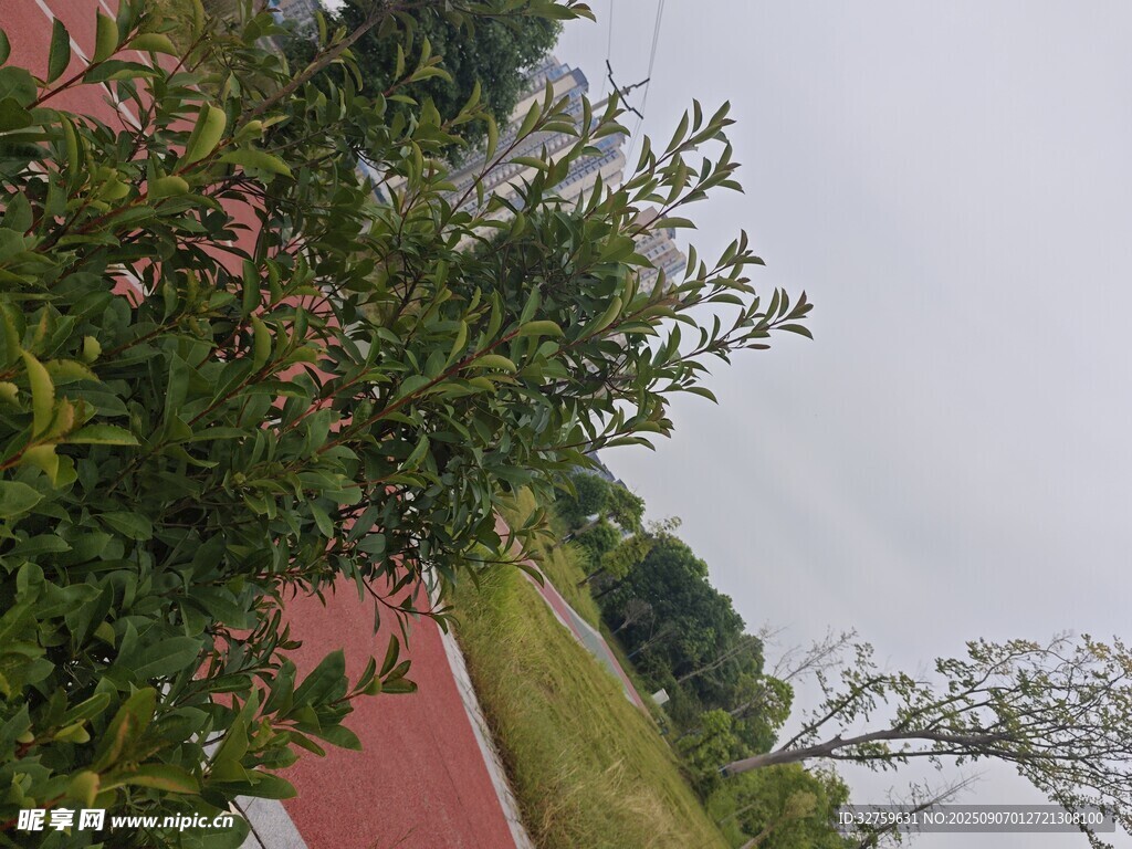 戶外綠植與紅色步道景觀