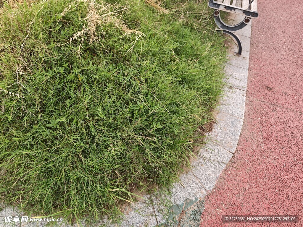 路邊綠植與長椅景觀
