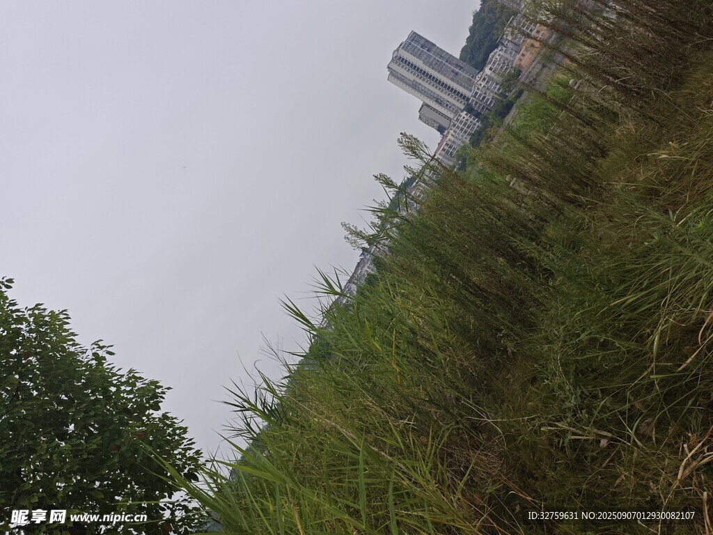 草地旁的高樓與綠植