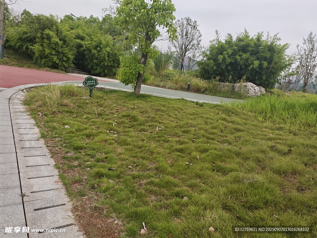公園草地旁的蜿蜒步道