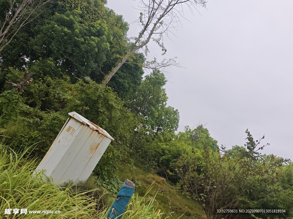 野外綠植中的白色容器