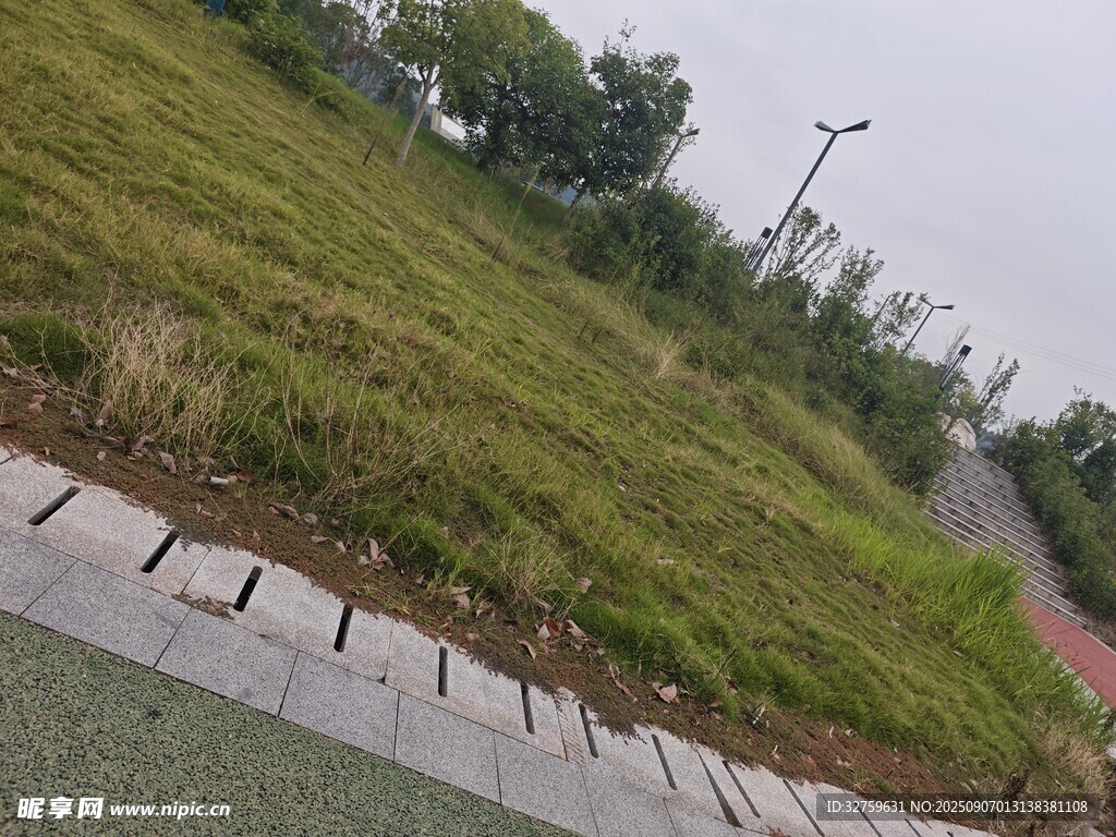 路邊綠意盎然的斜坡草地