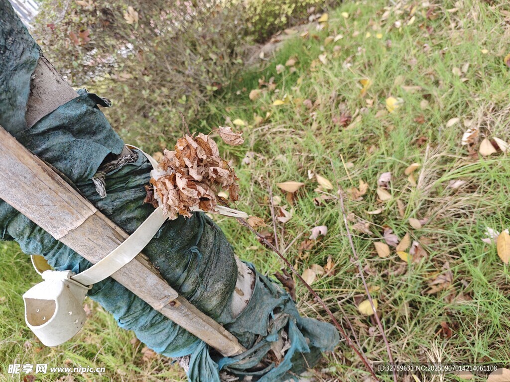 戶外武士裝扮與佩劍