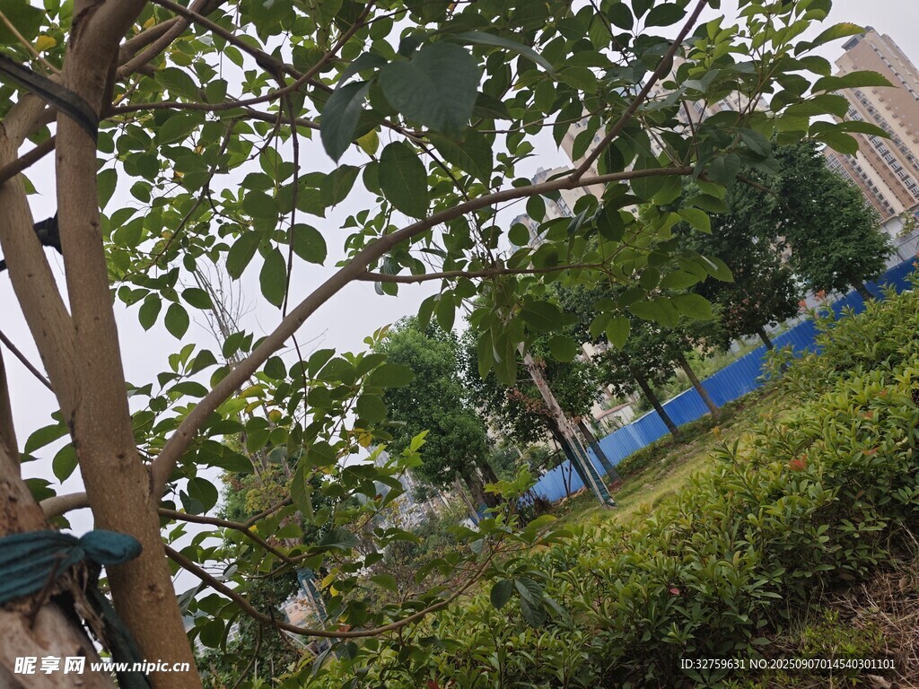 綠樹環(huán)繞的戶外景致