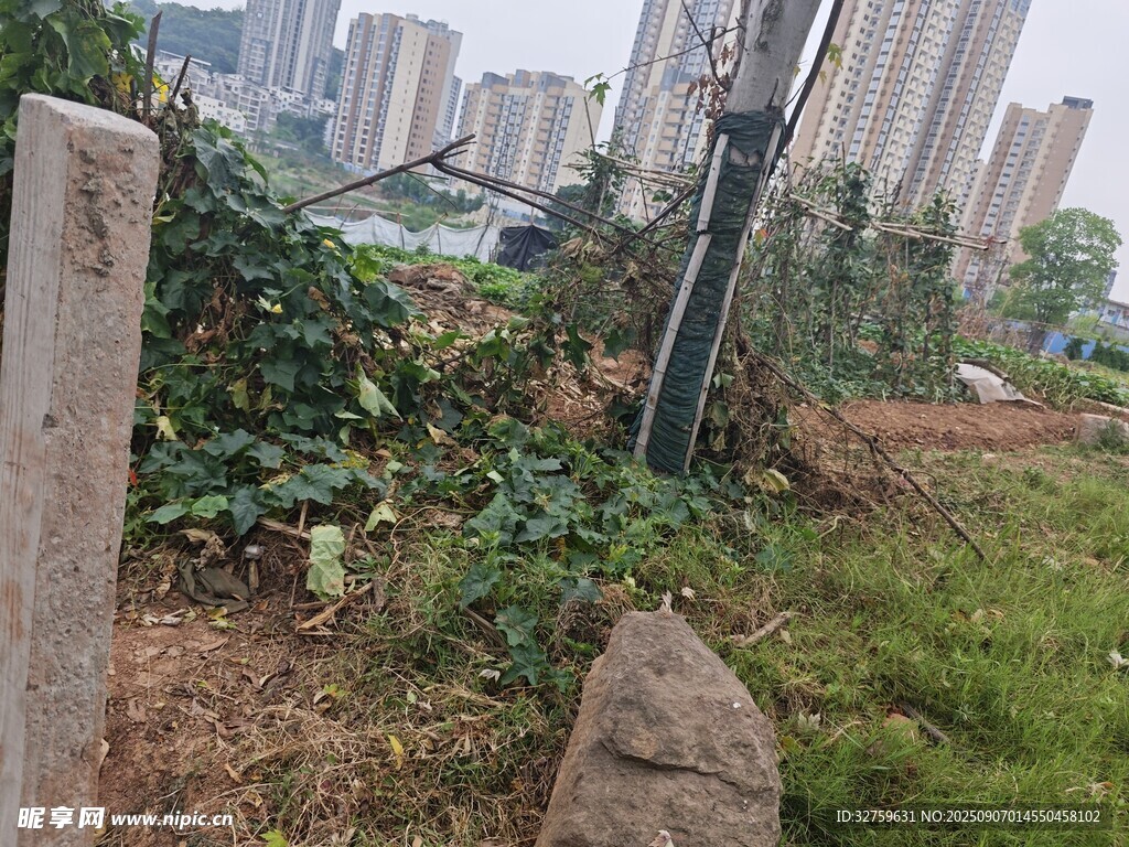 城市角落的綠植與石塊