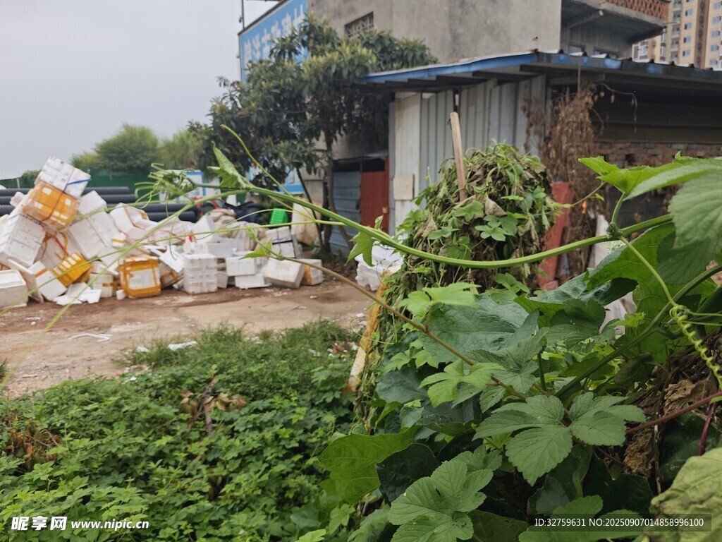 戶外雜物堆放與綠植場景