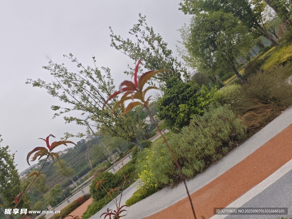 城市街邊綠植景觀