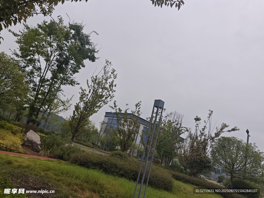 城市中的綠植景觀