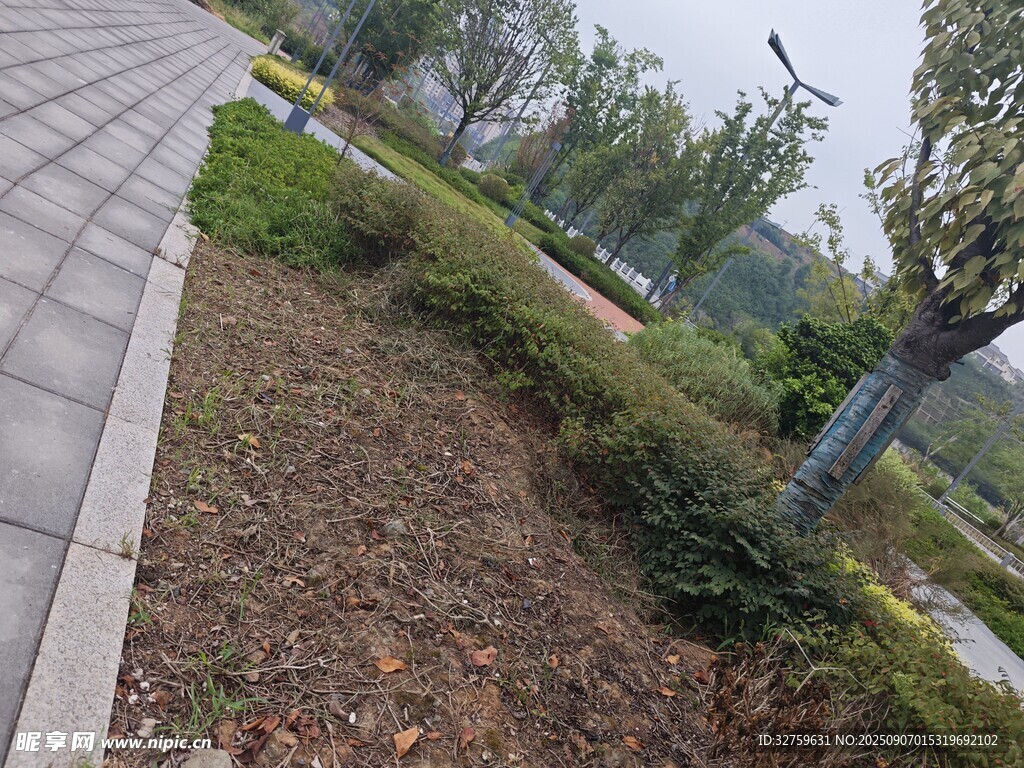 城市路邊綠植景觀