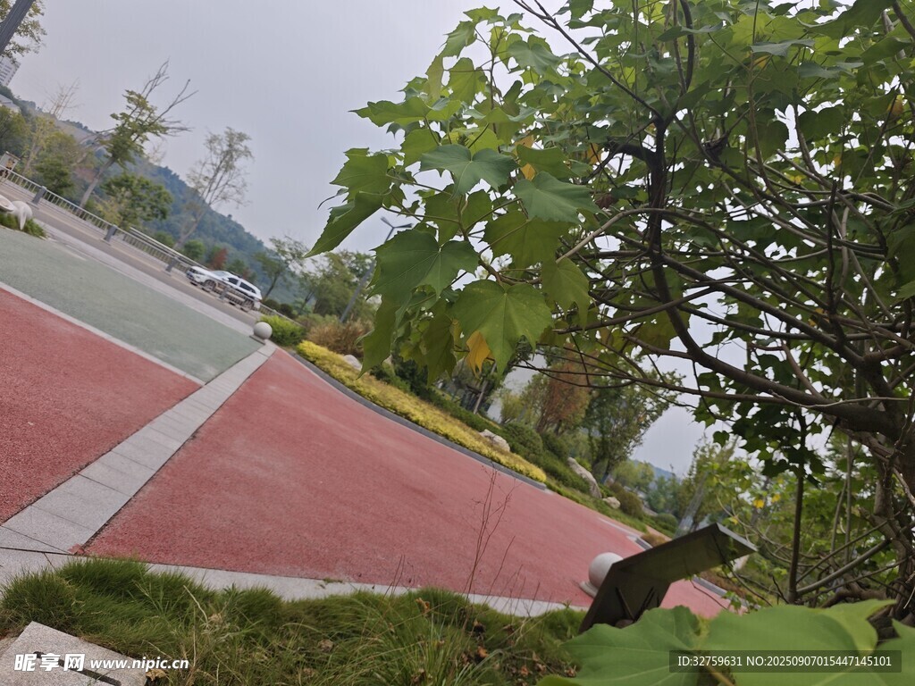 戶外彩色球場與綠植景觀