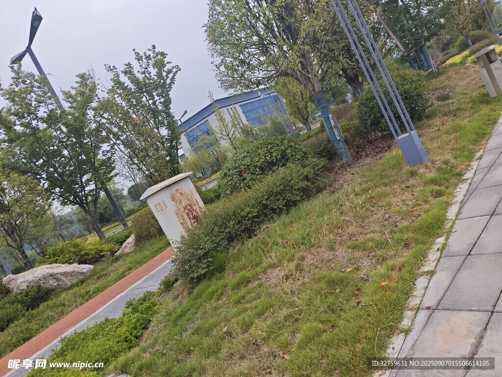 城市公園中的綠化景觀