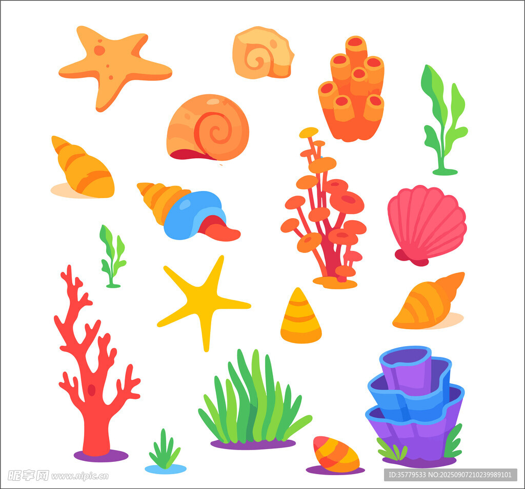 海洋生物與珊瑚貝殼 