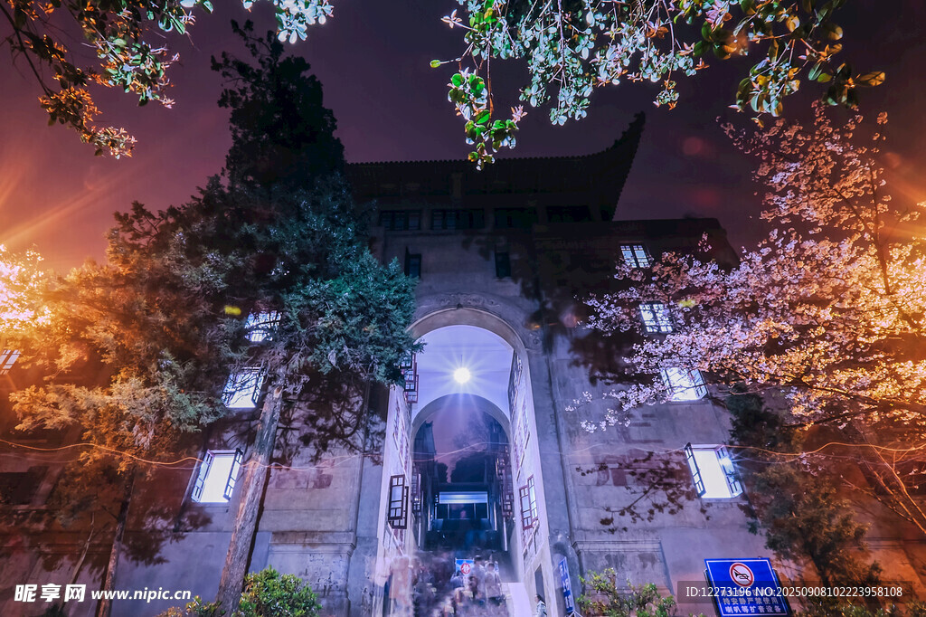 夜晚古建燈光樹影相映