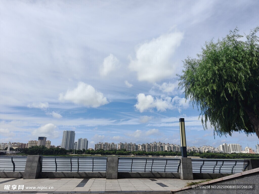 河畔風景