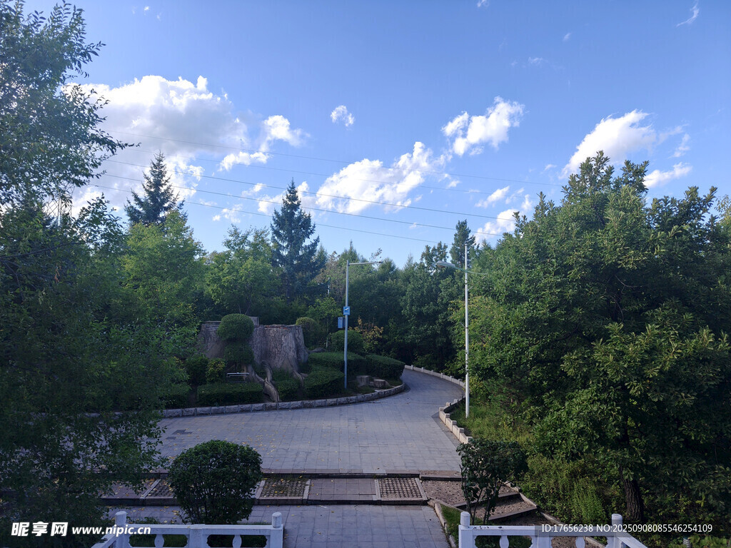 林間開闊地