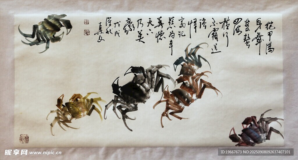 螃蟹