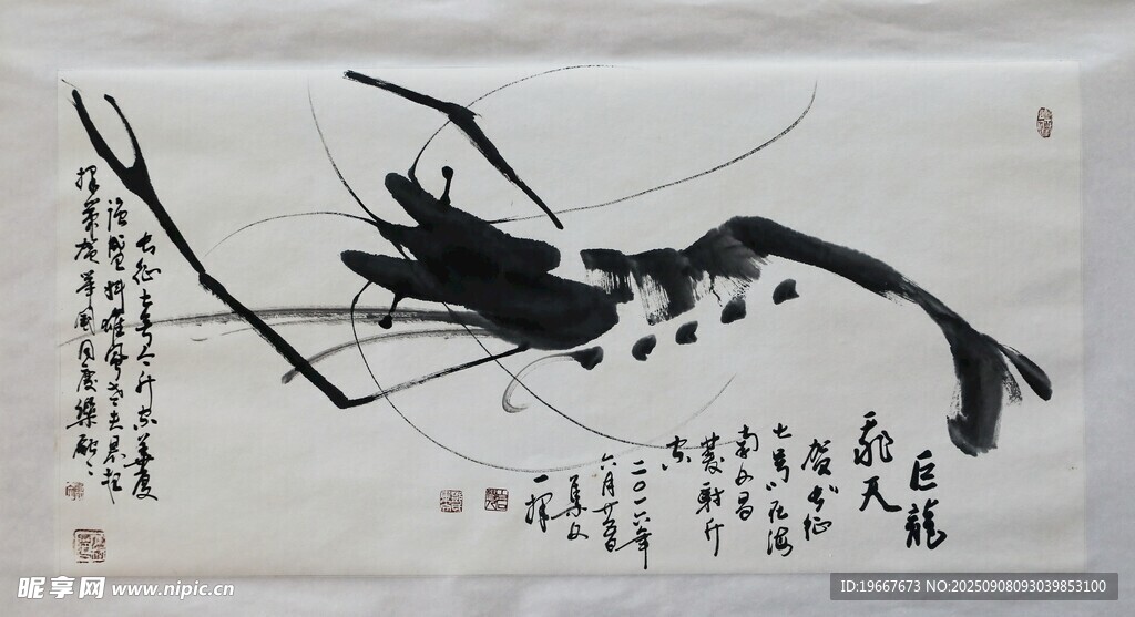 水墨蝦趣圖
