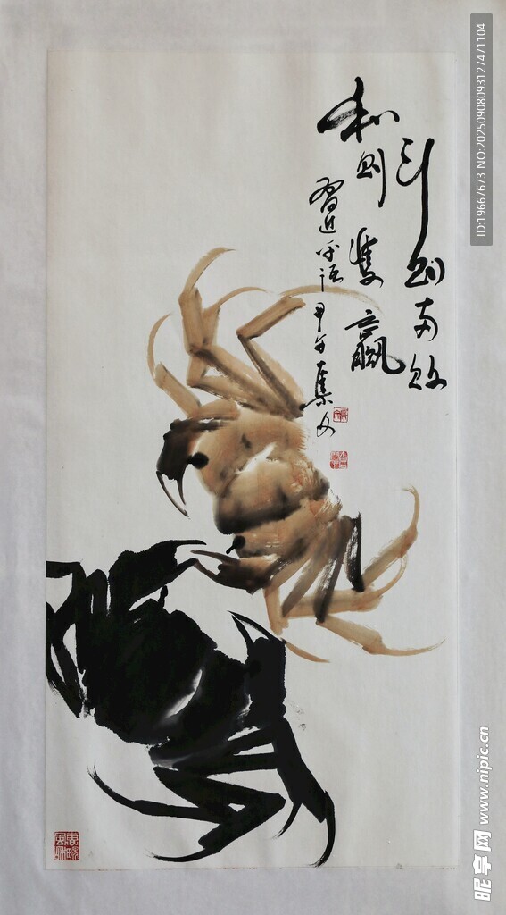 螃蟹圖