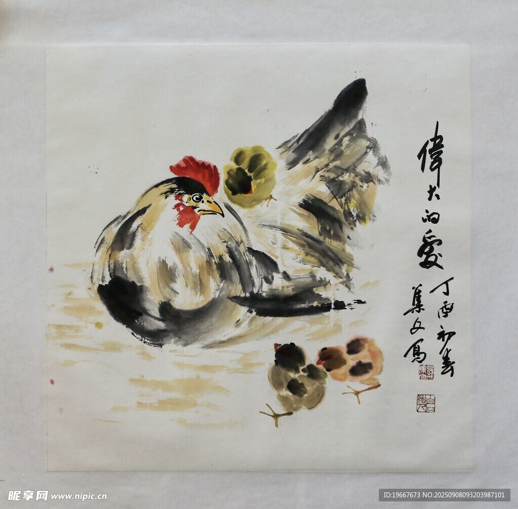  雞 