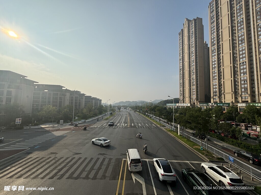 城市道路上的車輛與高樓