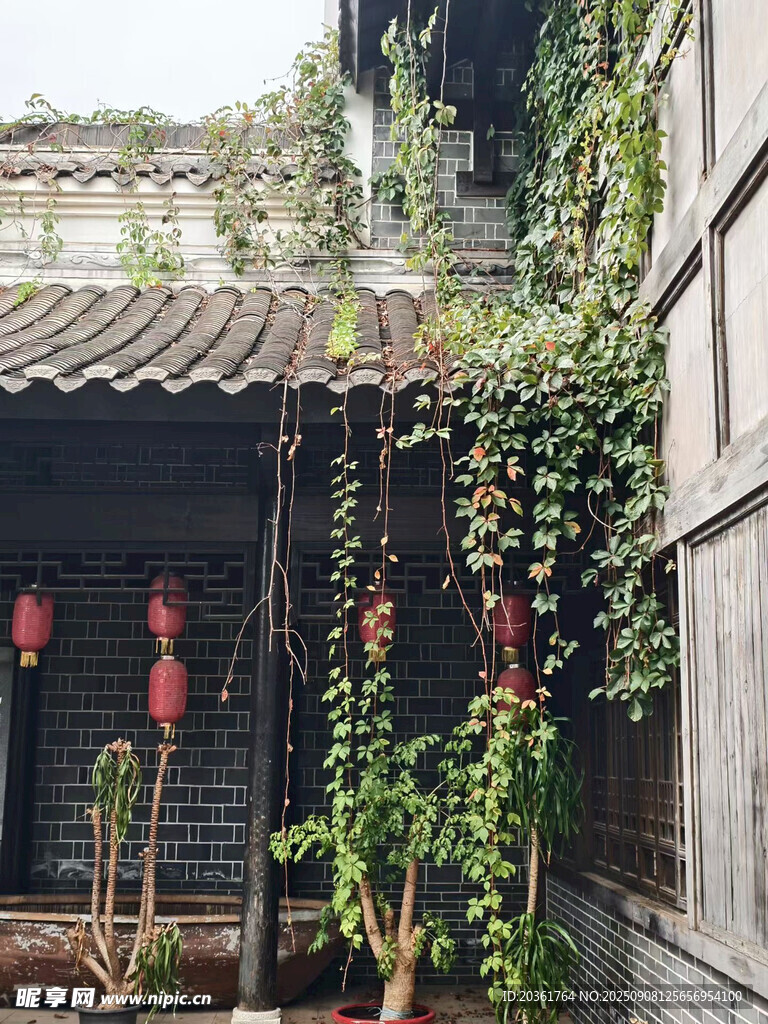 古宅藤蔓間的中式風(fēng)情
