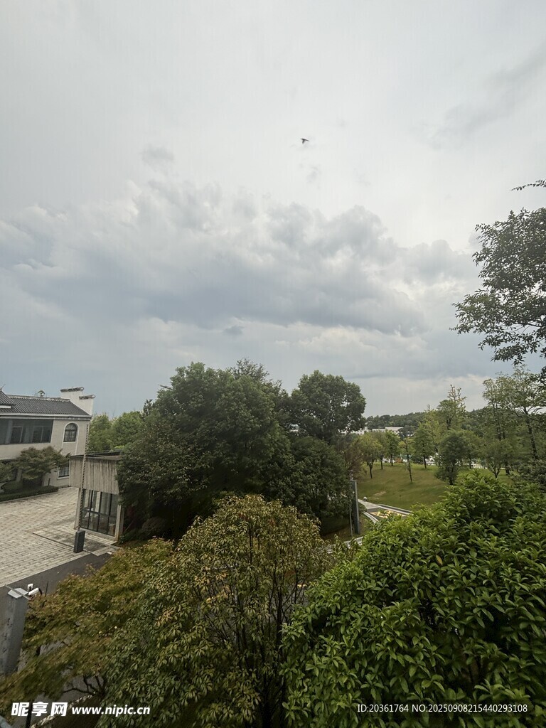 俯瞰綠意盎然的戶外景致