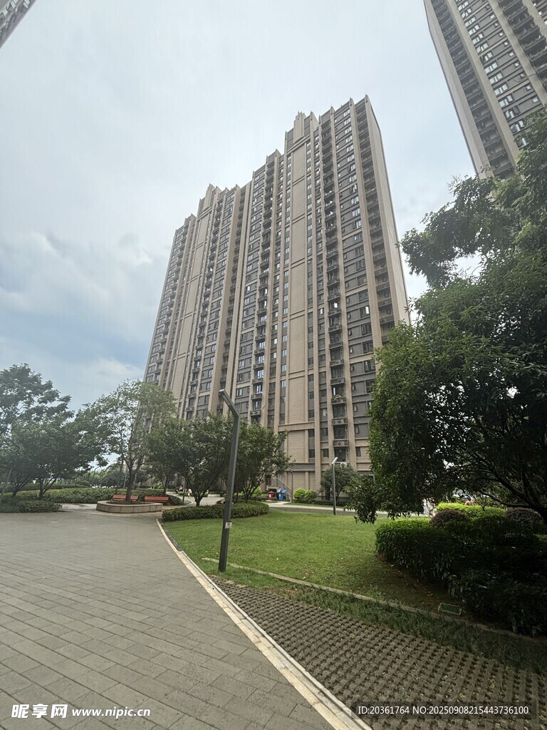 高層住宅旁的綠化道路