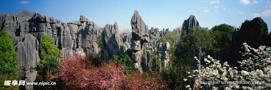 石林 奇峰 異石  自然 景觀