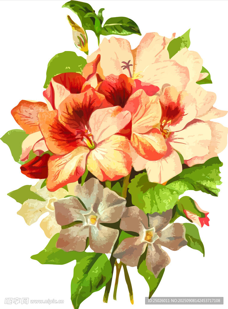 艷麗花卉插畫