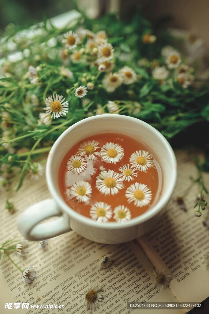 杯中雛菊茶 自然小確幸