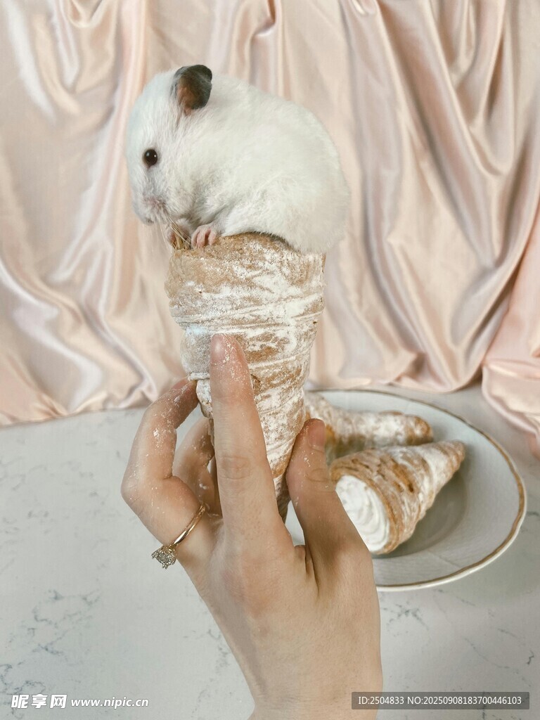 手托倉鼠的溫馨瞬間