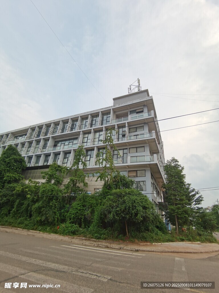 綠樹環(huán)繞的多層建筑