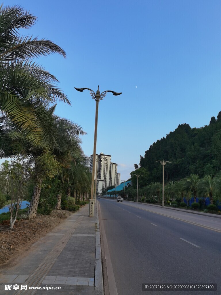 城市林蔭大道風(fēng)景