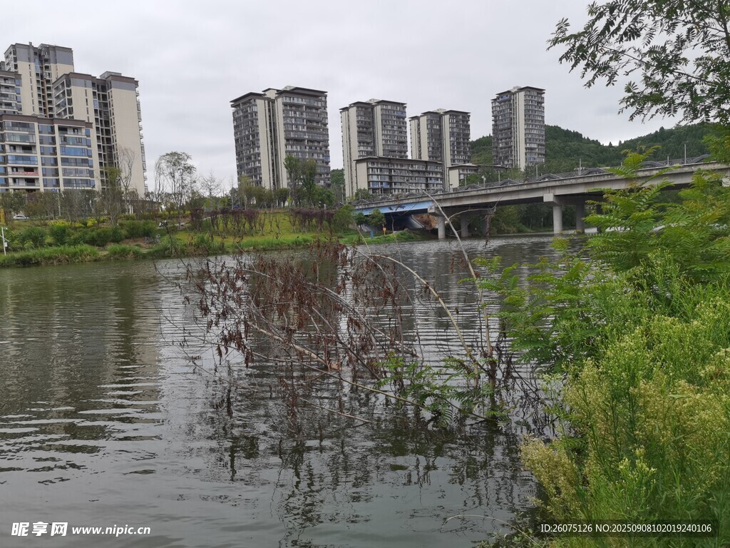 湖畔城市風光綠植相伴
