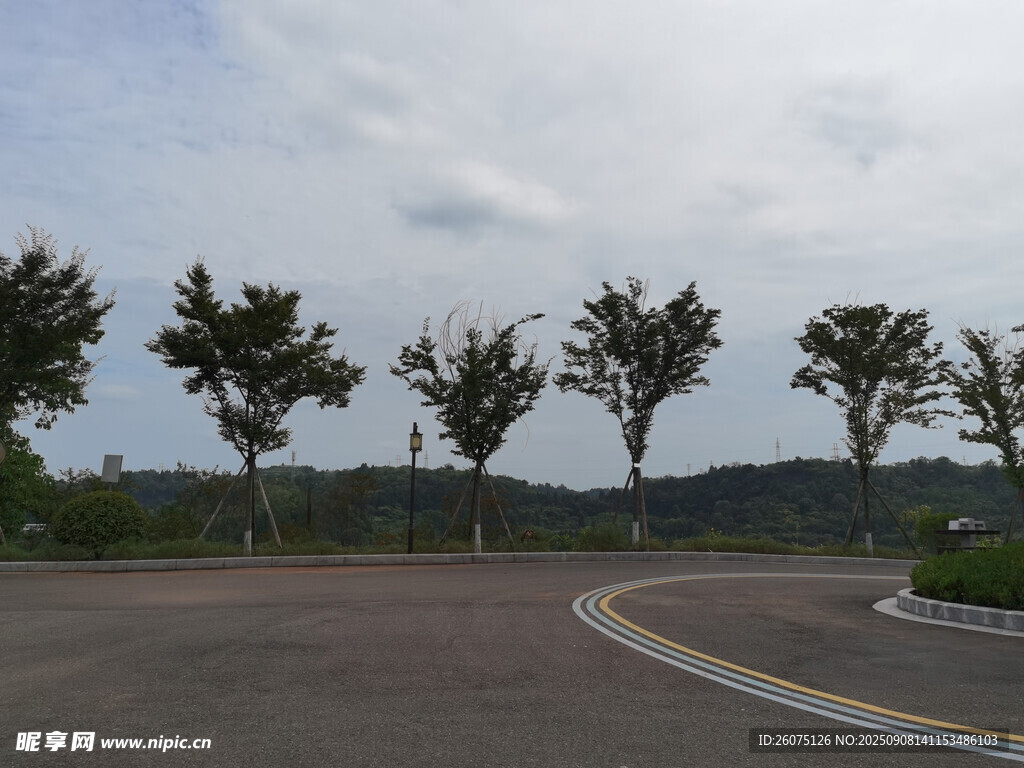 空曠道路旁的整齊樹木