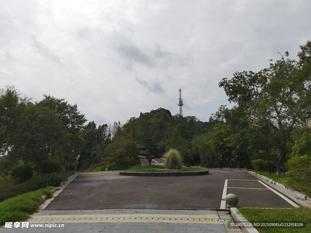 寬闊道路旁的蔥郁景致