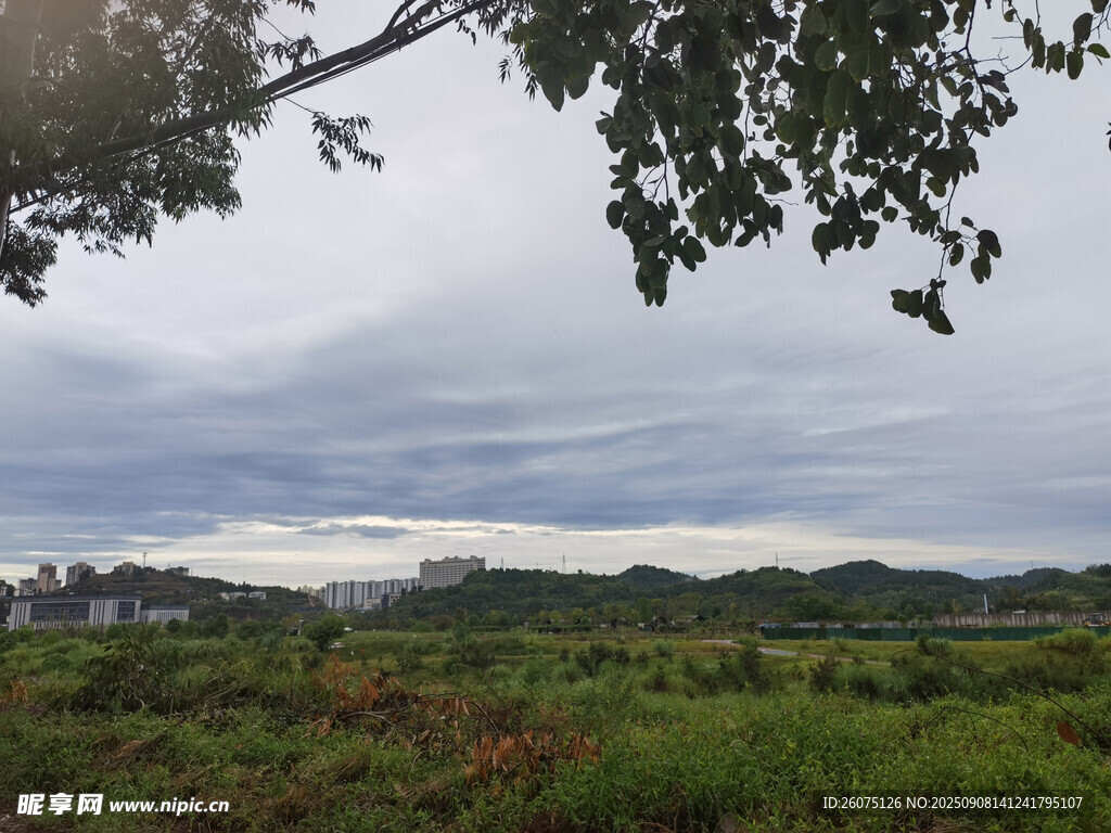 田野風(fēng)光綠意盎然的景致
