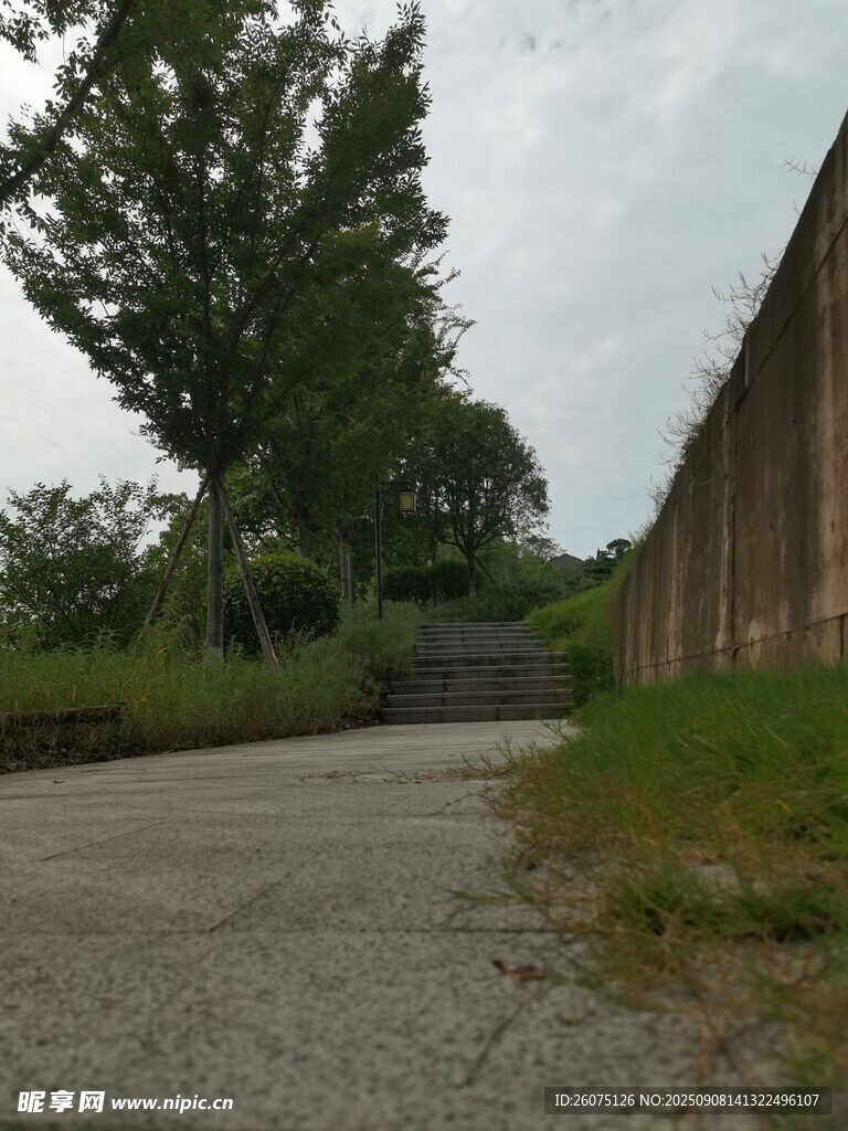 鄉(xiāng)村小道旁的綠樹與圍墻