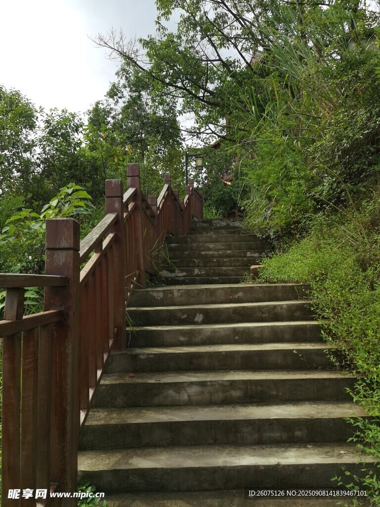 山間木質(zhì)階梯綠意環(huán)繞