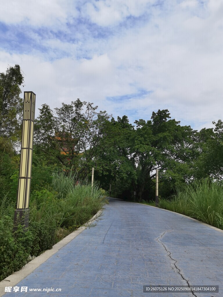 鄉(xiāng)間小路綠意相伴