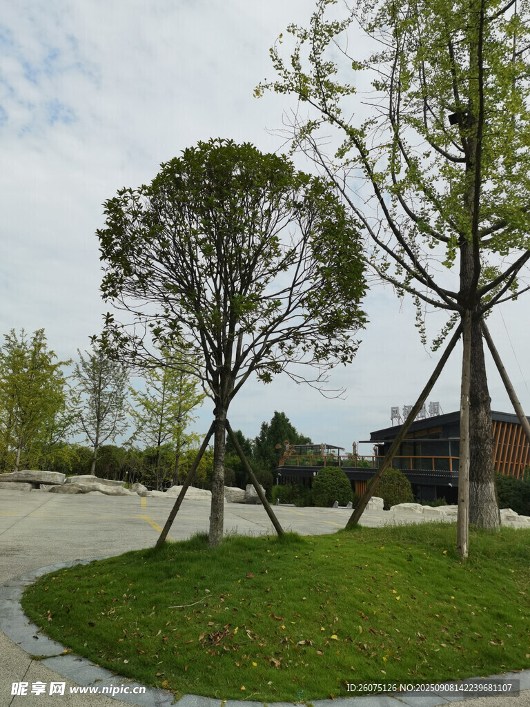 公園內(nèi)的樹木與綠地景觀