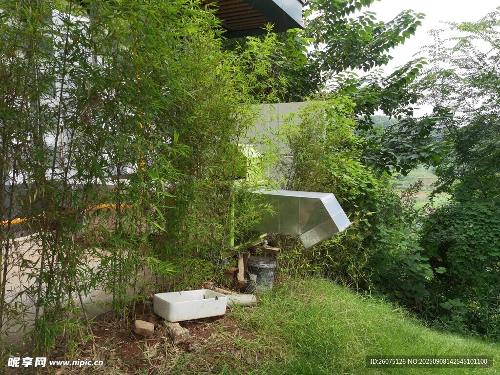 林間小屋旁的綠植景致