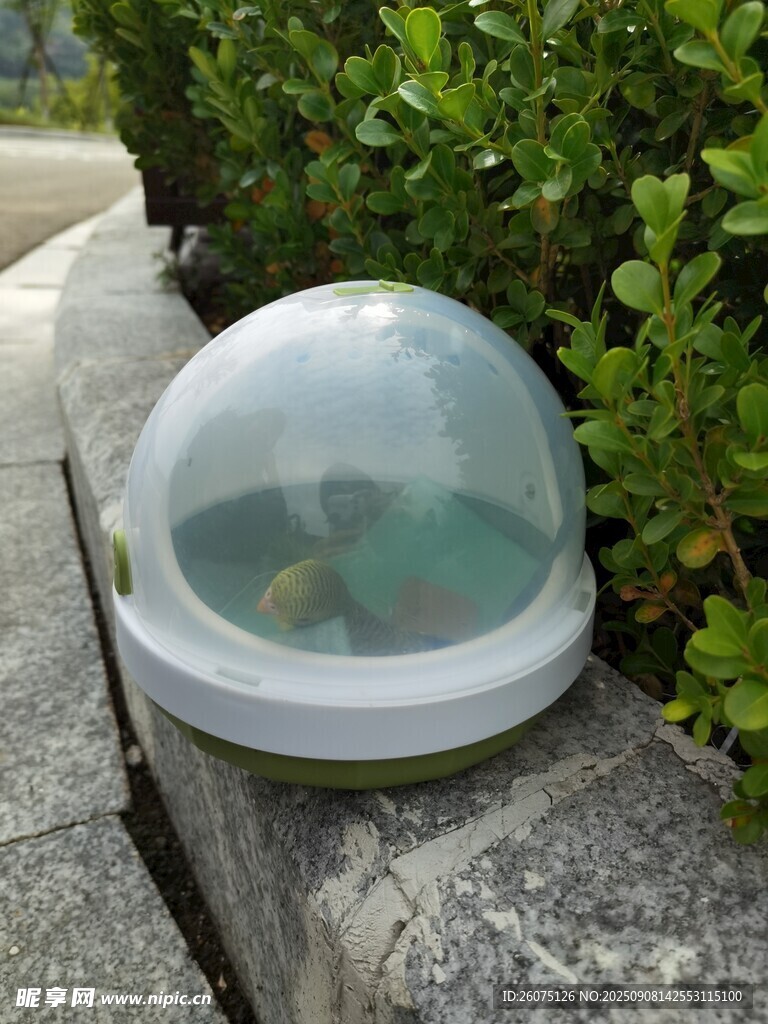 戶外透明圓頂寵物窩